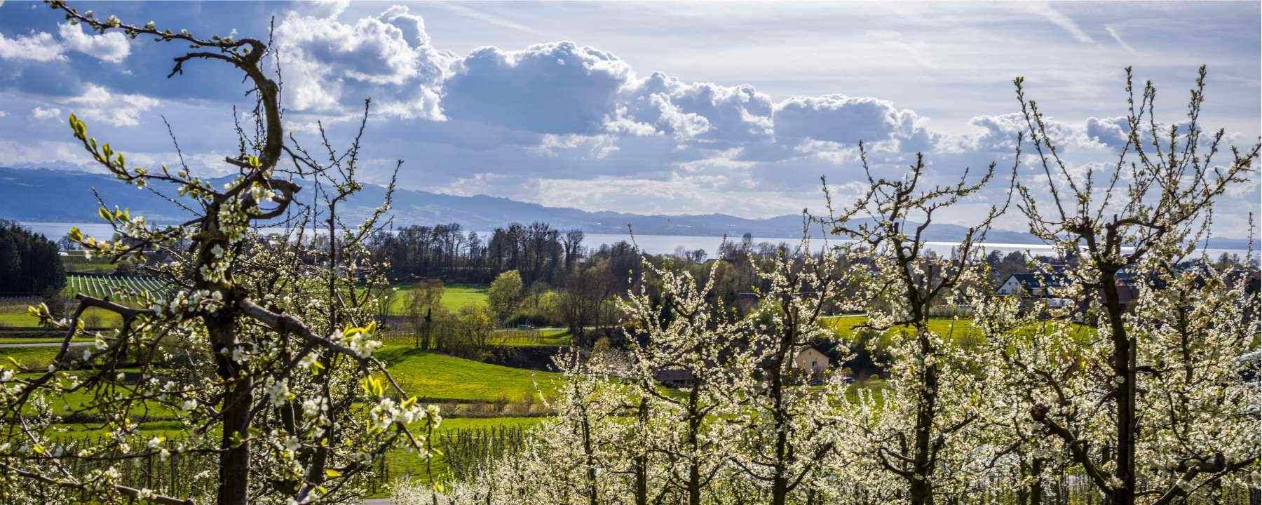 Restaurant Lindau Restaurant Lindau